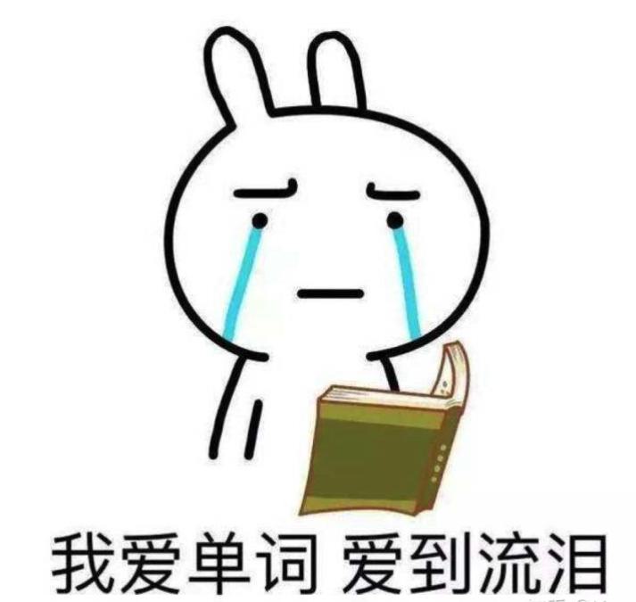 图片来源于网络,侵删